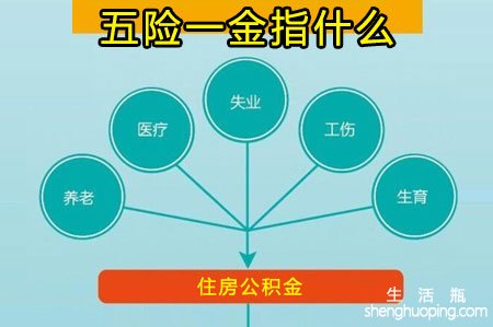 <b>公司缴纳的五险一金指什么意思</b>