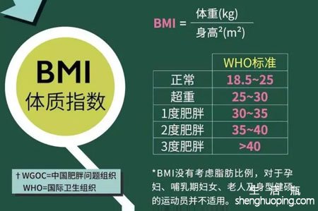 bmi计算公式